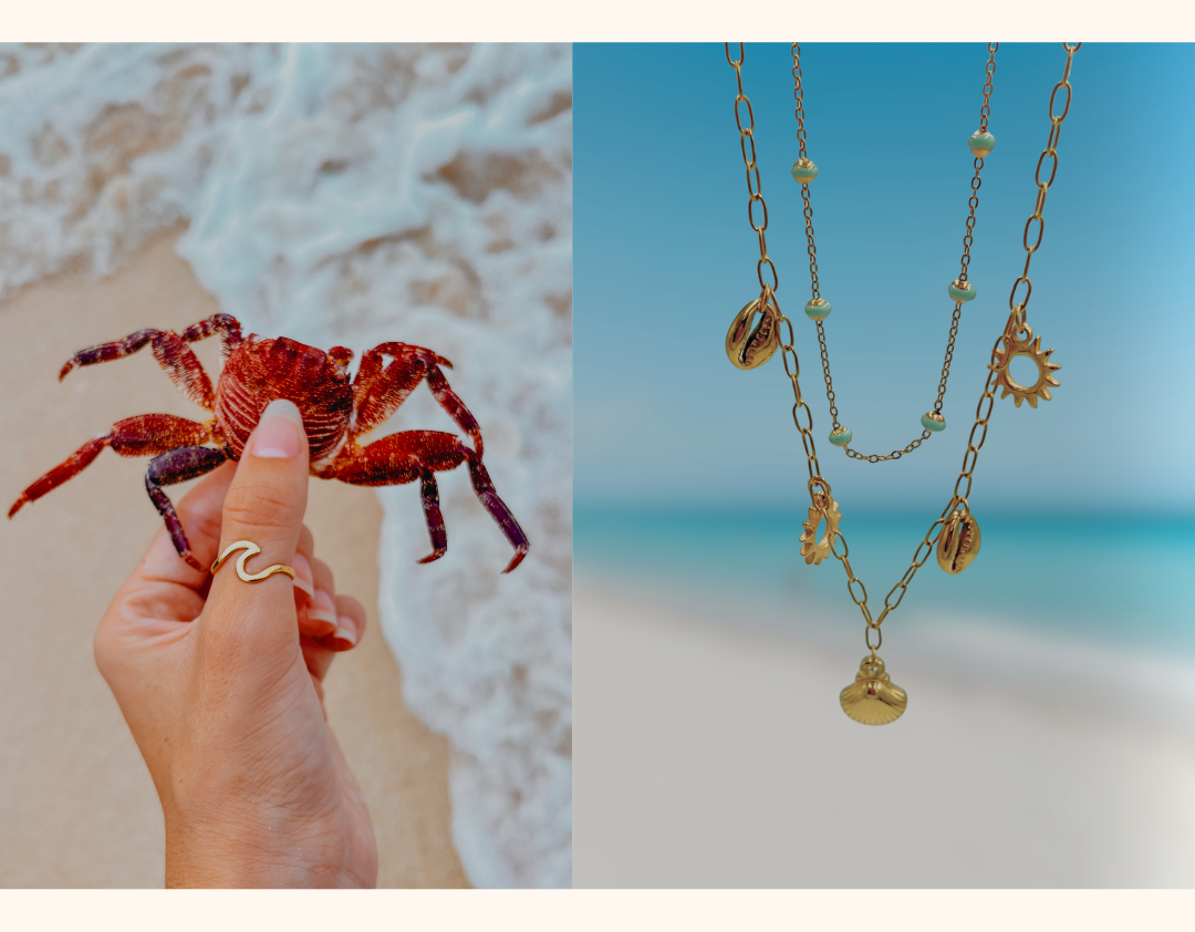 Hand holding a crab with a necklace on a beach background